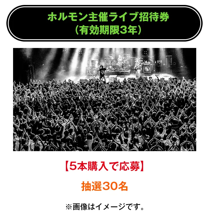 ホルモン主催ライブご招待券(有効期限3年)